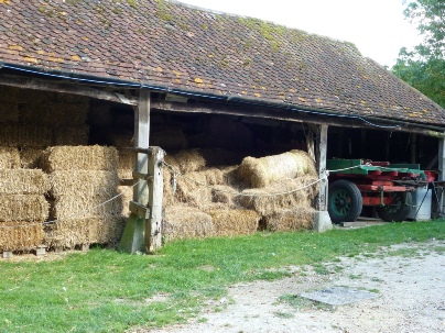 Hay barn on a farm. 