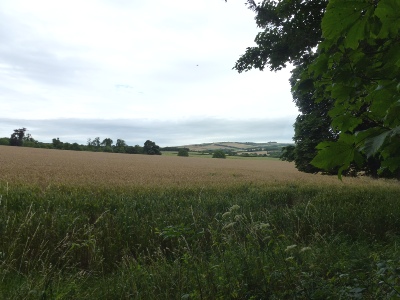 Across the fields in Findon.